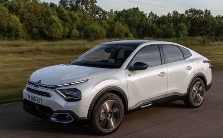 Citroën C4 Cactus Kronik Sorunları – Arızalar – Kullanıcı Yorumları