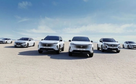 Peugeot 2008 Kronik Sorunları – Peugeot 2008 Kullanıcı Yorumları