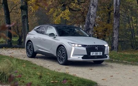 DS Automobiles DS 3 Kronik Sorunları – DS 3 Kullanıcı Yorumları