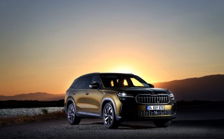 Skoda Karoq Kronik Sorunları – Skoda Karoq Kullanıcı Yorumları