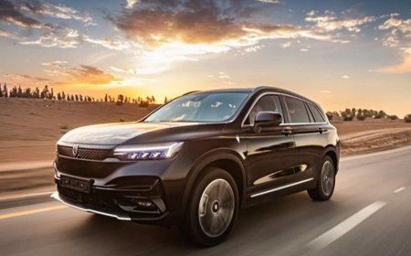 Skywell Exclusive Kronik Sorunları – Skywell Exclusive Kullanıcı Yorumları