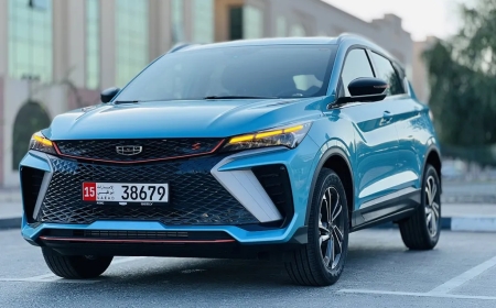 Geely Echo Kronik Sorunları - Geely Echo Kullanıcı Yorumları