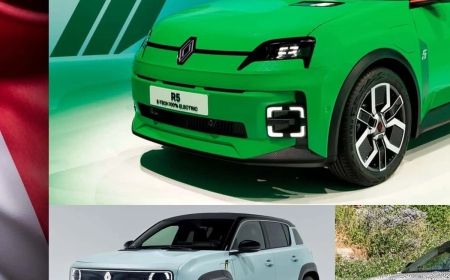 Renault ZOE Kronik Sorunları - Renault ZOE Kullanıcı Yorumları