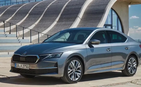 Skoda Scala Kronik Sorunları - Skoda Scala Kullanıcı Yorumları