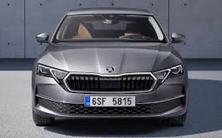 Skoda Rapid Kronik Sorunları - Skoda Rapid Kullanıcı Yorumları