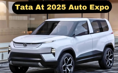 Tata Marina Kronik Sorunları - Tata Marina Kullanıcı Yorumları