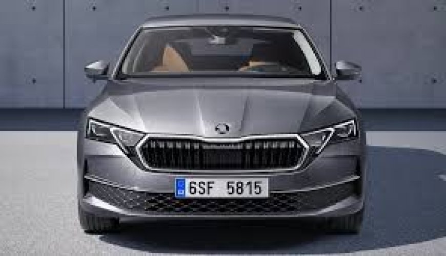 Skoda Rapid Kronik Sorunları - Skoda Rapid Kullanıcı Yorumları