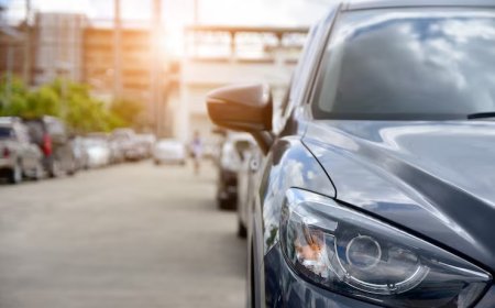 Çeki Demiri Ruhsata İşletme Maliyeti ve Prosedürü.