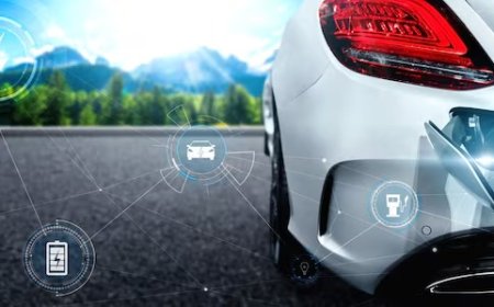 İhtiyari Mali Mesuliyet (İMM) Nedir?